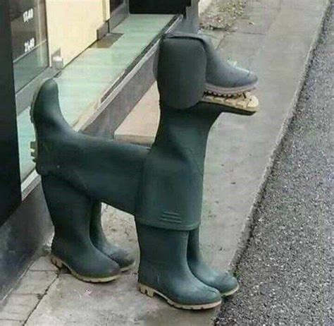 Vince cursed boot